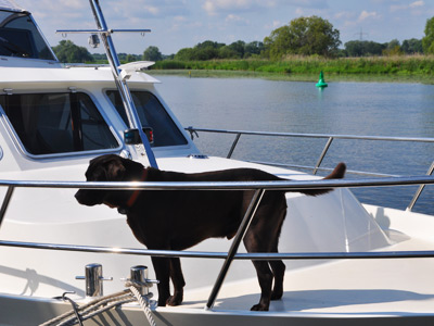 Charterurlaub auf Havel, Müritz, Mecklenburg, Brandenburg mit Hund und Familie