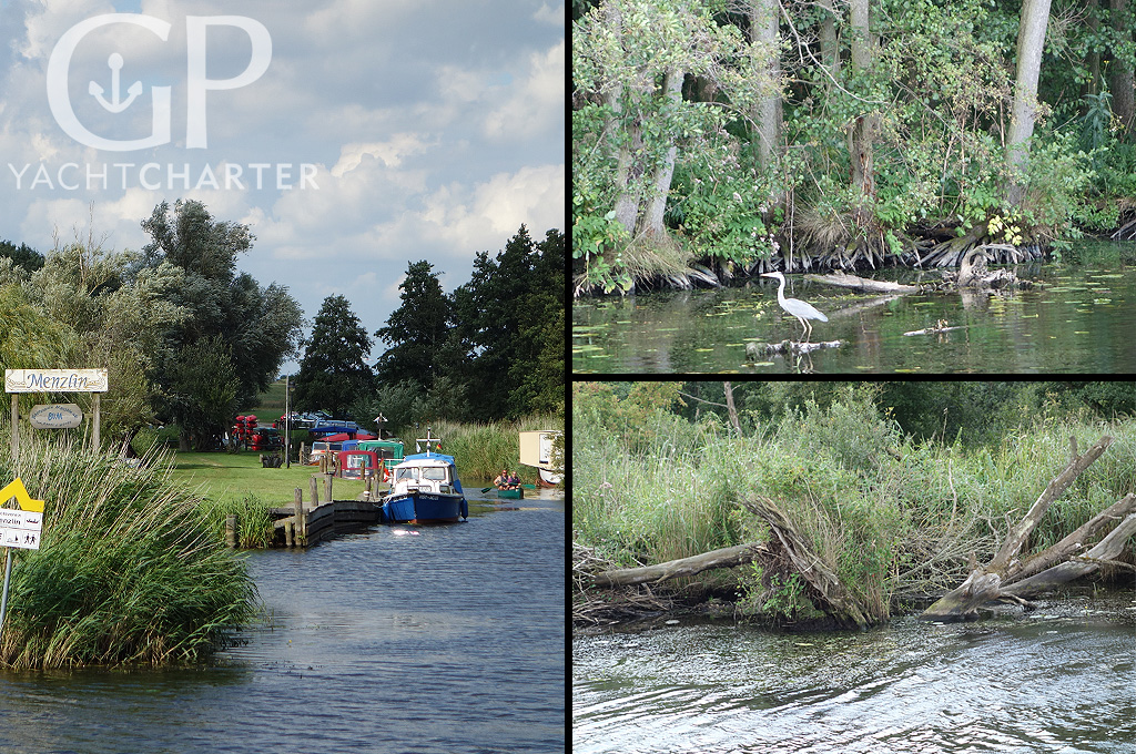 In Loitz machen wir nicht noch mal Station sondern unser Ziel ist heute wieder Anklam. Vorbei an Jarmen, Gützko und Stolpe erreichen wir kurz vor Anklam den Wasserwanderrastplatz Menzlin. Dies war früher mal ein Wikingerumschlagplatz. Von einigen Beobachtungsplattformen kann man Wasservögel und andere Tiere sehen. Hier leben Trauerseeschwalben, Eisvögel, Seeadler und Fischadler. Weihen und Milane, aber auch Biber und Fischotter, sind keine Seltenheit. Leider ist der Anleger nur für kleinere Boote gut geeignet, man kann aber ankern und mit dem Schlauchboot übersetzen.
